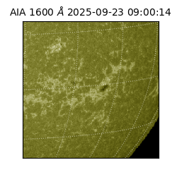 saia - 2025-09-23T09:00:14.126000