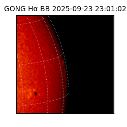 gong - 2025-09-23T23:01:02