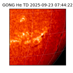 gong - 2025-09-23T07:44:22