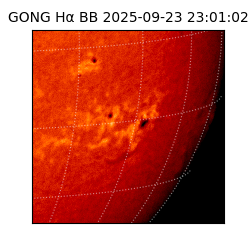 gong - 2025-09-23T23:01:02