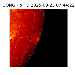 gong - 2025-09-23T07:44:22