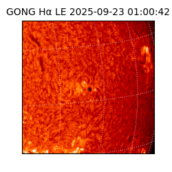 gong - 2025-09-23T01:00:42