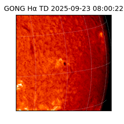 gong - 2025-09-23T08:00:22