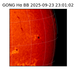 gong - 2025-09-23T23:01:02