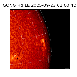 gong - 2025-09-23T01:00:42