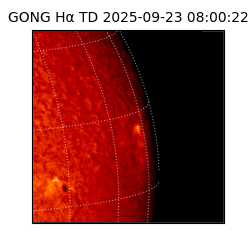 gong - 2025-09-23T08:00:22
