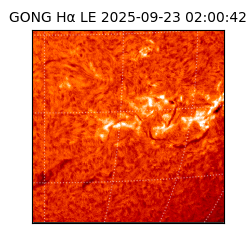 gong - 2025-09-23T02:00:42