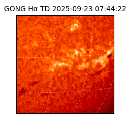 gong - 2025-09-23T07:44:22