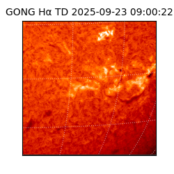 gong - 2025-09-23T09:00:22