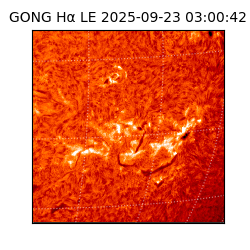 gong - 2025-09-23T03:00:42