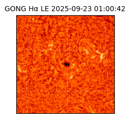 gong - 2025-09-23T01:00:42