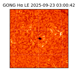 gong - 2025-09-23T03:00:42