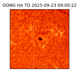 gong - 2025-09-23T09:00:22