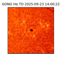 gong - 2025-09-23T14:00:22