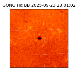 gong - 2025-09-23T23:01:02