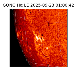 gong - 2025-09-23T01:00:42