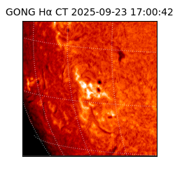 gong - 2025-09-23T17:00:42
