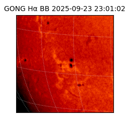 gong - 2025-09-23T23:01:02