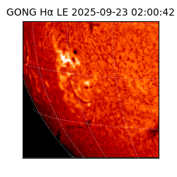 gong - 2025-09-23T02:00:42