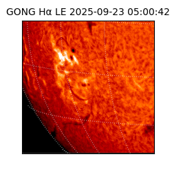 gong - 2025-09-23T05:00:42