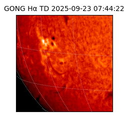 gong - 2025-09-23T07:44:22