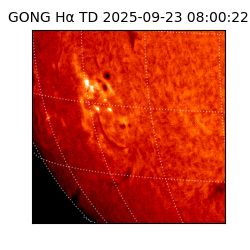gong - 2025-09-23T08:00:22