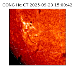 gong - 2025-09-23T15:00:42