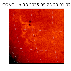 gong - 2025-09-23T23:01:02