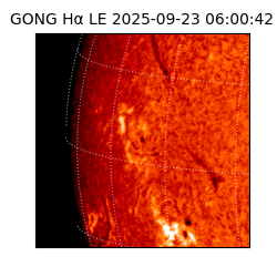 gong - 2025-09-23T06:00:42