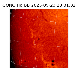 gong - 2025-09-23T23:01:02