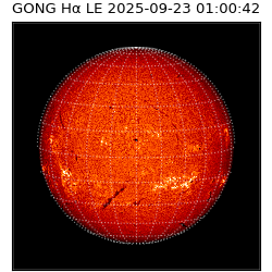 gong - 2025-09-23T01:00:42