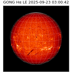 gong - 2025-09-23T03:00:42