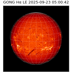 gong - 2025-09-23T05:00:42