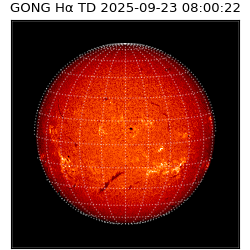 gong - 2025-09-23T08:00:22