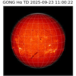 gong - 2025-09-23T11:00:22