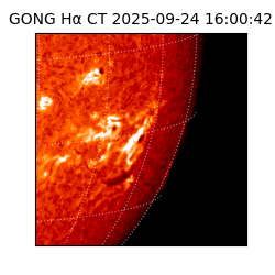 gong - 2025-09-24T16:00:42