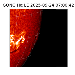 gong - 2025-09-24T07:00:42