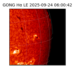 gong - 2025-09-24T06:00:42