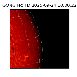 gong - 2025-09-24T10:00:22