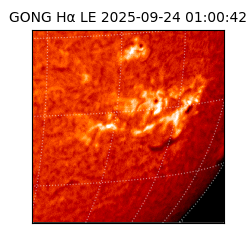 gong - 2025-09-24T01:00:42