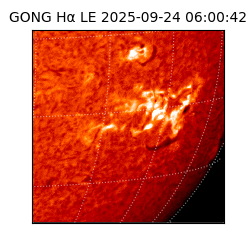 gong - 2025-09-24T06:00:42