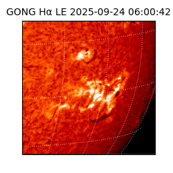 gong - 2025-09-24T06:00:42