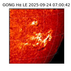 gong - 2025-09-24T07:00:42