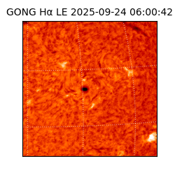 gong - 2025-09-24T06:00:42