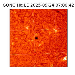 gong - 2025-09-24T07:00:42