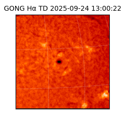 gong - 2025-09-24T13:00:22