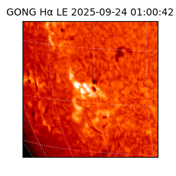 gong - 2025-09-24T01:00:42