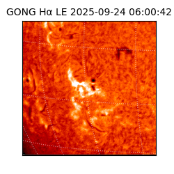 gong - 2025-09-24T06:00:42