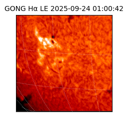 gong - 2025-09-24T01:00:42