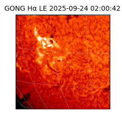 gong - 2025-09-24T02:00:42